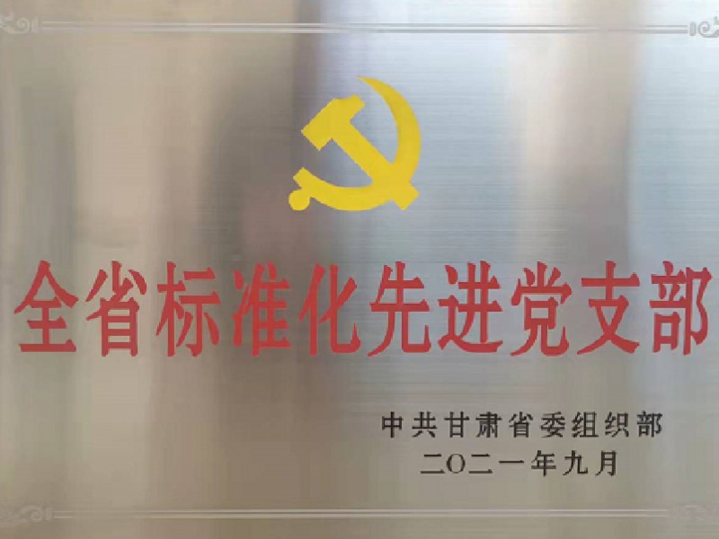 烏魯木齊機場改擴建工程飛行區場道工程順利通過第一階段土石方工程分部工程驗收