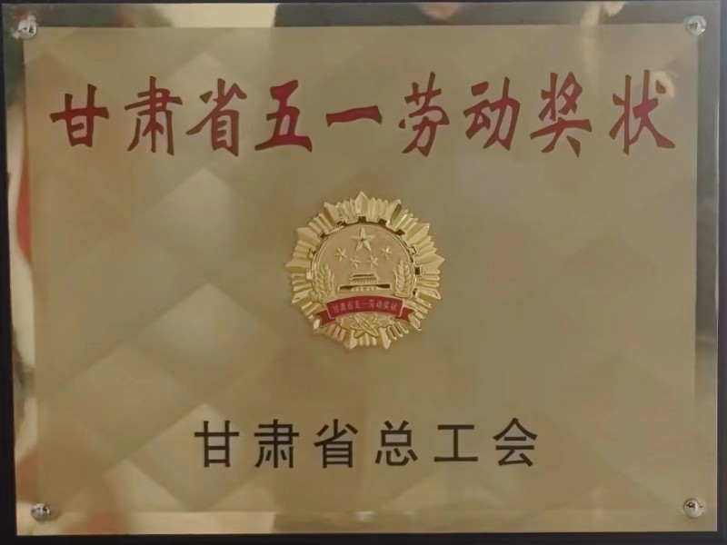 烏魯木齊機場改擴建工程飛行區場道工程順利通過第一階段土石方工程分部工程驗收